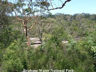 Brisbane Water National Park