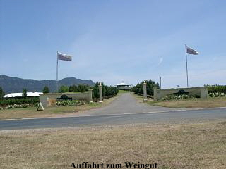 Auffahrt zum Weingut