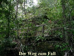 Der Weg zum Fall