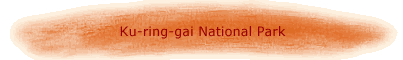 Ku-ring-gai National Park